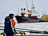 Wired (США): Россия осваивает газовые месторождения в удивительной арктической тундре - «ЭКОНОМИКА»