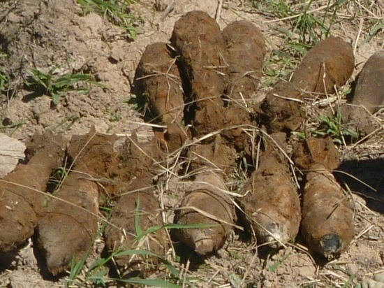В Тверской области обнаружены четырнадцать минометных мин
