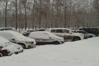 Для чего в Ярославле ввели «Снежный билет»? | Общественный транспорт | Общество - «Политика»