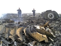 Нидерланды: РФ согласится на переговоры по MH17 - «Новости дня»