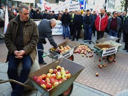 Польские фермеры возлюбили Россию после потери российского рынка - «Новости дня»