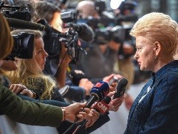 Президент Литвы: "прагматичный подход" к БелАЭС – попытка торговать безопасностью - «Культура»