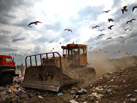 The New York Times (США): бедность, протесты против мусорных свалок и зимняя хандра россиян - «Общество»