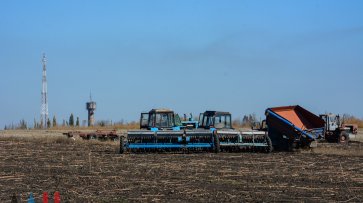 Аграрии ДНР в 2019 году планируют отвести 236 тыс. га сельхозугодий под весенний сев – Минагропром