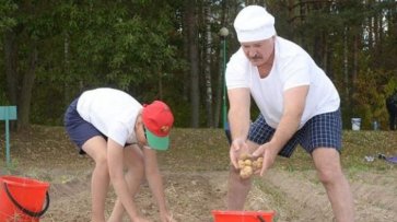 Белорусы рванули на заработки в страны Балтии - «Технологии»