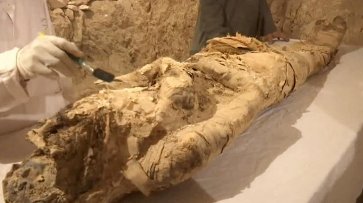 Египетские мумии пытались отправить в Бельгию почтой - «Новости дня»