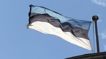 Эстонские военные заявили о подготовке к войне