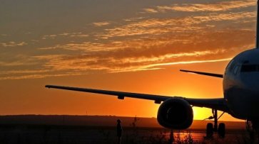 ФАС проверит данные о росте цен на авиабилеты - «Политика»