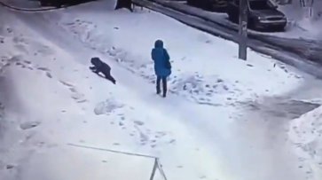 Глыба льда упала на ребенка с крыши рязанского общежития - «Новости дня»