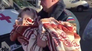 Как в фильме ужасов: москвичи рассказали, как нашли в лесу ребенка, бредущего в пакете с прорезями для глаз