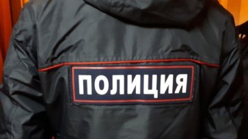 МВД обезвредило преступников, выведших более 37 млн рублей из РФ - «Политика»