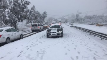 На Мексику обрушился снегопад