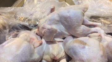 Россия разрешила ввоз мяса птицы из 15 европейских стран - «Происшествия»