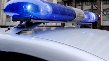 Сбившего насмерть пешеходов на Невском проспекте отправили под арест - «Новости Дня»