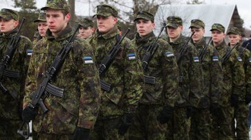 Силы самообороны Эстонии пожаловались на "русскоязычный террор" - «Военные действия»