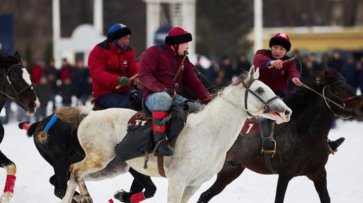 СК проверит, пострадали ли лошади во время "козлодрания" на московском ипподроме - «Новости дня»
