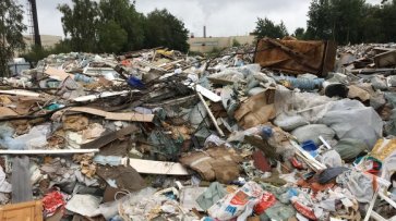 Социологи: 96,6% жителей Архангельской области против мусорного полигона в Шиесе - «Спорт»