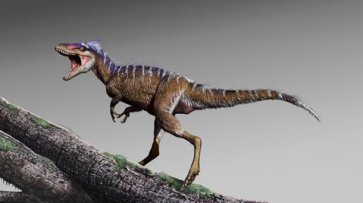 Ученые нашли останки мини-тираннозавра