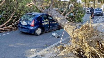 В Италии из-за урагана погибли четыре человека