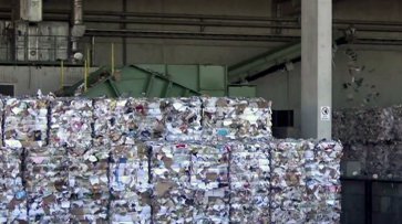 В решении мусорных проблем поможет немецкий опыт - «Новости дня»