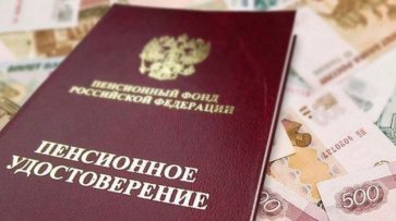 В Союзе пенсионеров РФ не поддержали передачу пенсии по наследству - «Политика»