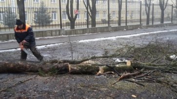 В Ставрополе на смену ураганному ветру придёт мороз