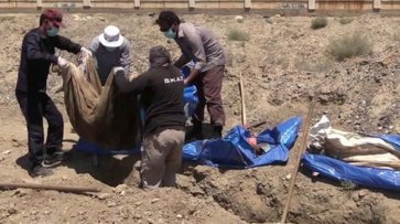 В бывшей «столице» ДАИШ нашли могилу с 3,5 тыс. жертв боевиков - «Новости Дня»