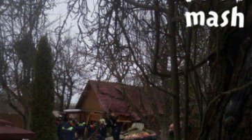 В Коломне на дачный дом упал самолёт: двое погибших - «Новости Дня»