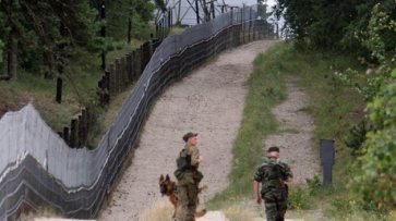 В Польше повторно начали «распил» стратегического мыса на границе с Россией - «Новости Дня»