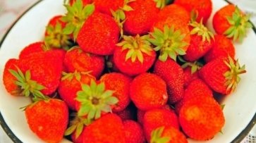 За пестициды и агрохимикаты оштрафовали волгоградский СПК «Тепличный».