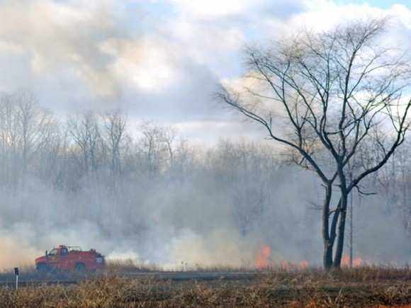 Число пострадавших от пожаров в Забайкалье превысило 700 человек - «Спорт»