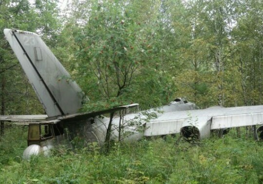 Грибник обнаружил в лесу самолёт-призрак Ил28-У со времён Второй Мировой войны - «Спорт»