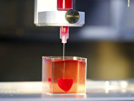 Haaretz (Израиль): израильские ученые только что напечатали первое 3D-сердце. Теперь человечество может производить все необходимые органы? - «Наука»