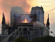 Комментарии китайских читателей о пожаре в Соборе Парижской Богоматери - «Общество»