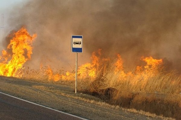 311 пострадавших от природных пожаров в Забайкалье получили компенсации - «Политика»