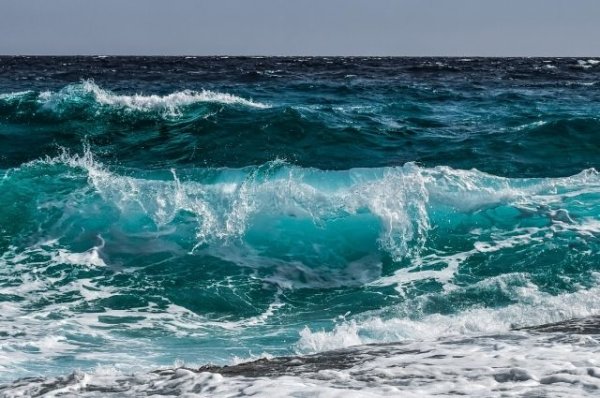 AFP: французский пенсионер пересек Атлантический океан в бочке - «Происшествия»