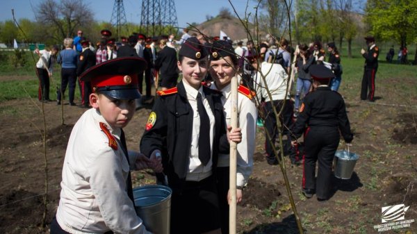 Активисты «Молодой Республики» высадили саженцы липы в парке им. Захарченко в Донецке