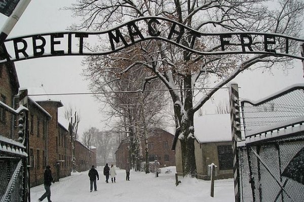 Американский турист задержан за кражу из мемориального музея в Освенциме - «Происшествия»