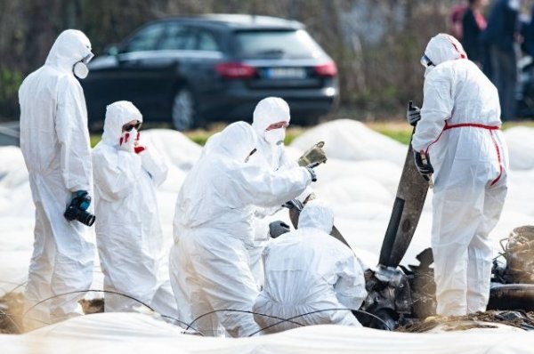 Анализ ДНК подтвердил личности жертв крушения частного самолета в ФРГ - «Происшествия»