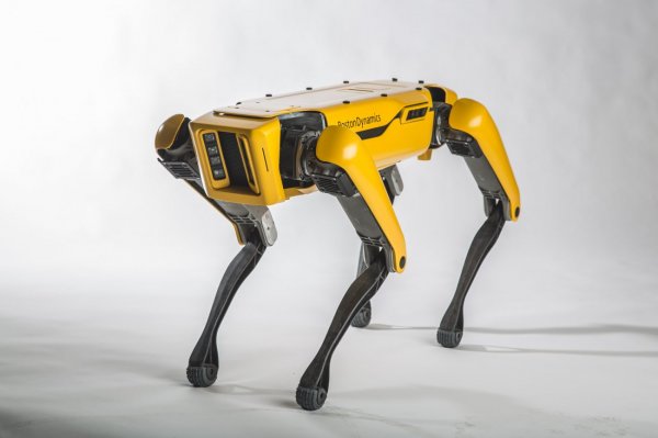 Boston Dynamics показала упряжку роботов-собак, тянущих грузовик - «Здоровье»