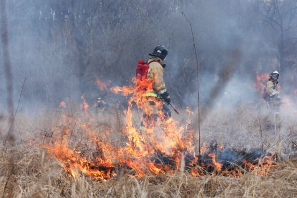 Число пострадавших от пожаров в Забайкалье возросло до 29 человек - «Происшествия»