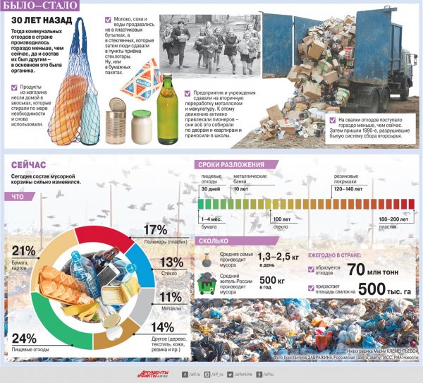 Что в мусорной корзине? Инфографика | Экология | Общество - «Происшествия»