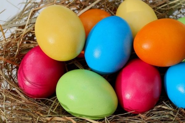 Диетологи рассказали, сколько яиц можно съесть на Пасху без вреда здоровью - «Политика»