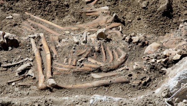 Древнейшие в Америке следы человека найдены на юге Чили - «Новости дня»