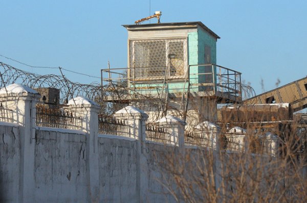 Два дела возбуждено после побега заключенных из ИВС в Тыве - «Новости Дня»