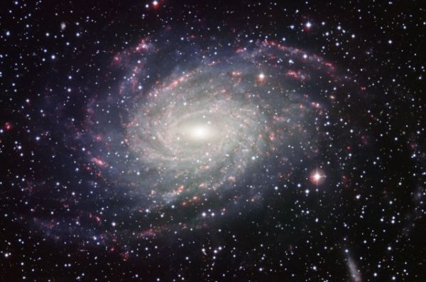 Глава РАН: ученые продолжат искать новые черные дыры во Вселенной - «Политика»