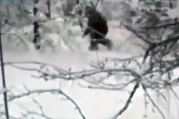 Индийские военные заявили, что сфотографировали следы снежного человека - «Политика»