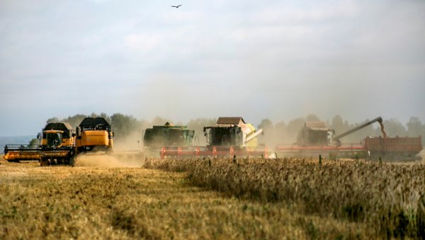 Инвестиции в сельское хозяйство вырастут в 2 раза - «Новости дня»