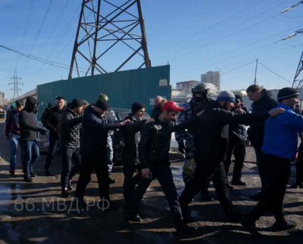 Из Свердловской области после операции МВД депортируют 96 иностранцев