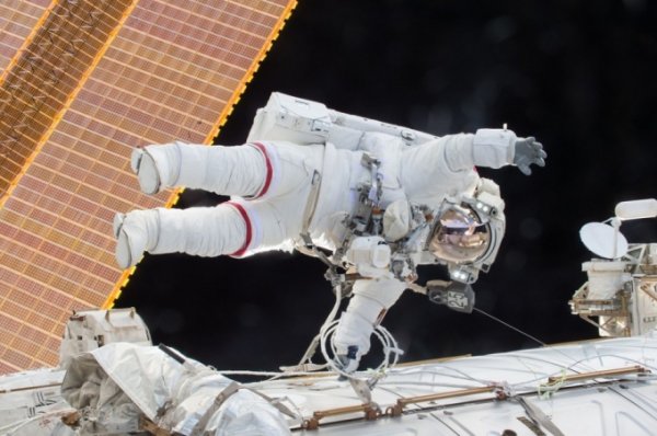 «Изучают, кто дырки просверливает»: в РАН заявили, что космонавты и МКС бесполезны